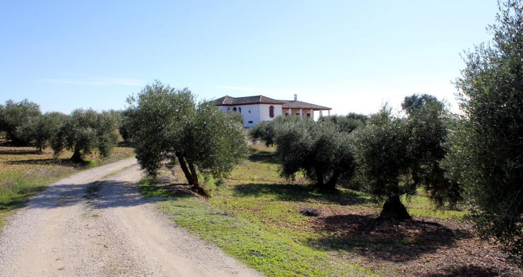 Casa Rural La Serrana La Carlota Buitenkant foto